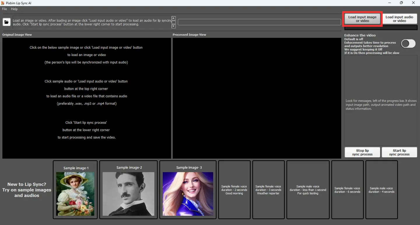 screenshot shows a load button to load an image or video to make lip sync animation