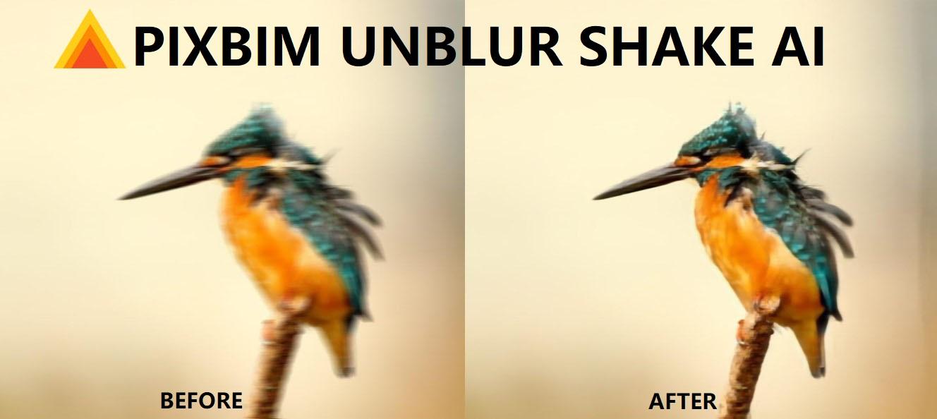 Unblur an Image using Pixbim Unblur Shake AI